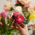 Rose Collector's Decor Set
