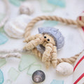 Hermit Crab Ornament