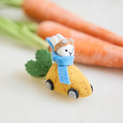 Bunny Carrot Race Ornament